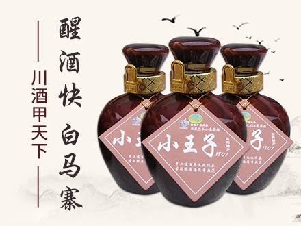 白马寨窖酒酒包装设计_白马寨窖酒酒盒包装设计_白马寨窖酒包装设计公司